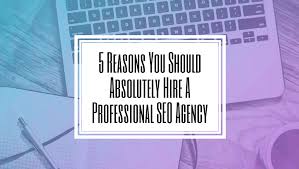 professional seo agency