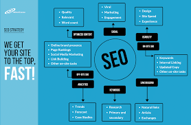 seo expert services