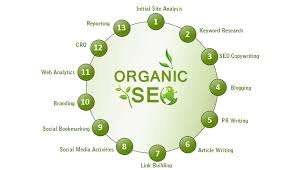 organic search engine rankings