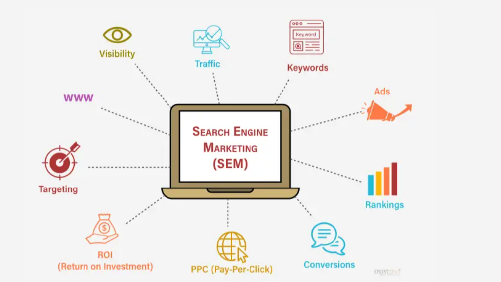 search engine marketing expert