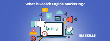 web search engine marketing