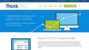 professional seo company