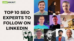 top seo experts